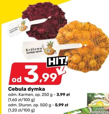 Cebula dymka Sturon odm. op. 500 g promocja w Bricomarche