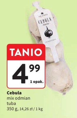 Cebula mix odmian tuba Intermarche promocja w Intermarche