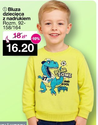 Bluza dziecięca z nadrukiem promocja w Woolworth