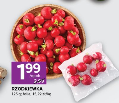 Rzodkiewka Zaczarowany ogr贸d promocja w Stokrotka