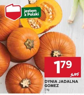 Dynia jadalna Gomez promocja w Stokrotka