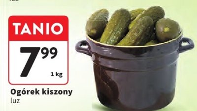Ogórek kiszony luz promocja w Intermarche