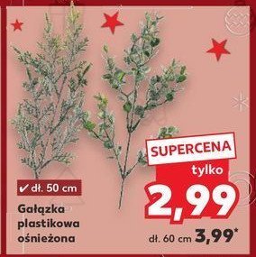 Gałązka ośnieżona 60 cm promocja