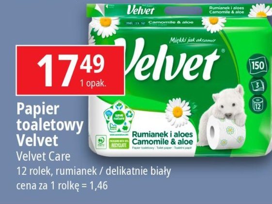 Papier toaletowy rumianek Velvet promocja