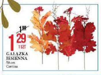 Gałązka jesienna Cortina promocja