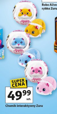 Chomik interaktywny Zuru promocja