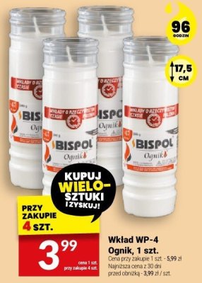 Wkład WP-4 Ognik, 1 szt. promocja w Twój Market