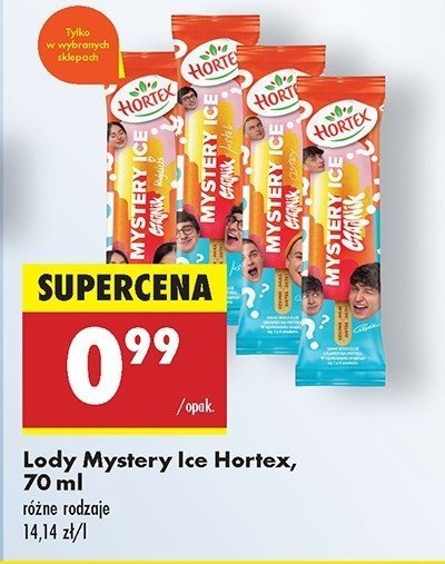 Lód czajnik Hortex mystery ice promocja