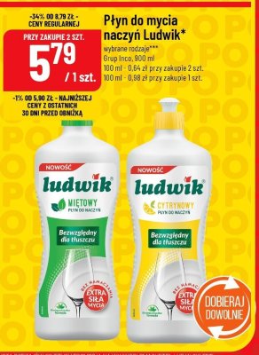 Płyn do mycia naczyń Ludwik promocja w POLOmarket