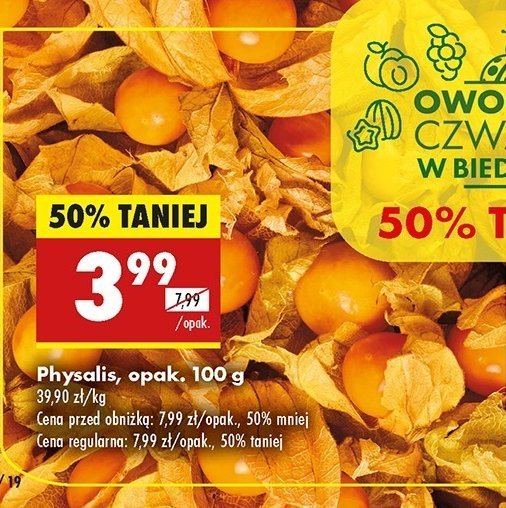 Physalis promocja