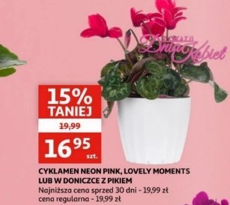Cyklamen neon pink promocja w POLOmarket