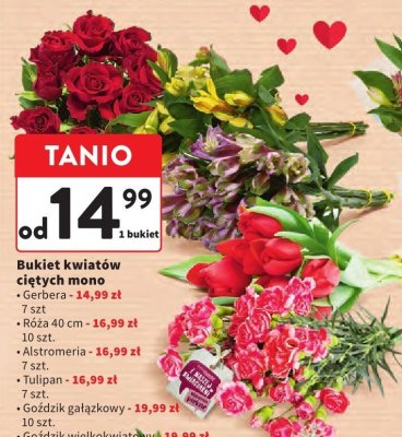 Bukiet kwiatów ciętych mono Goździk gałązkowy promocja w Intermarche