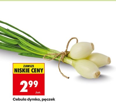 Cebula dymka, pęczek promocja w Biedronka