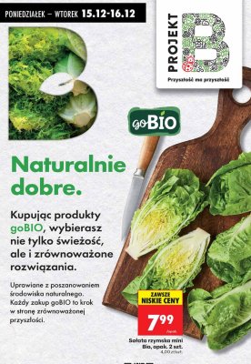 Sałata rzymska mini Bio, opak. 2 szt. promocja w Biedronka