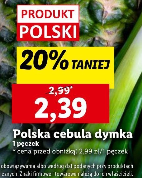 Cebula dymka biała promocja