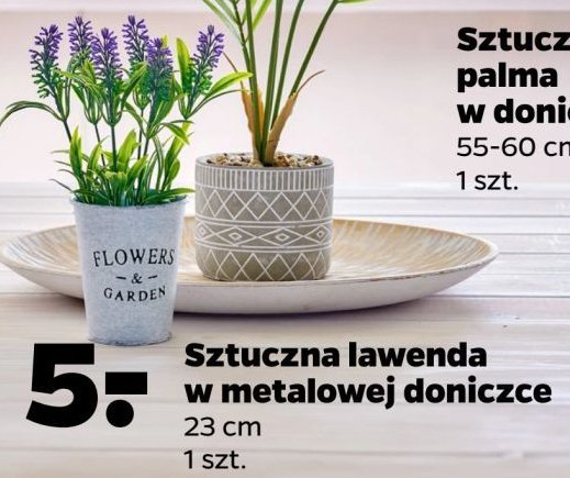 Lawenda w metalowej doniczce 23 cm promocja