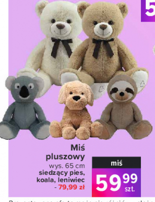 Koala siedz膮cy promocja