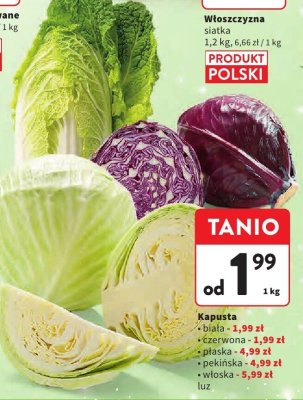 Kapusta biała promocja w Intermarche
