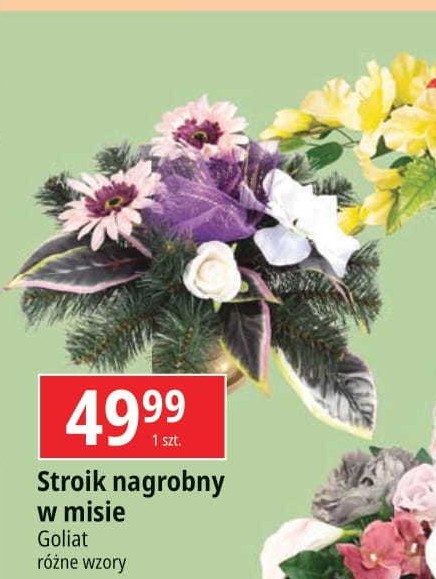 Stroik dekorowany w misie Goliat promocja