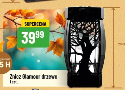Znicz Glamour drzewo promocja w POLOmarket