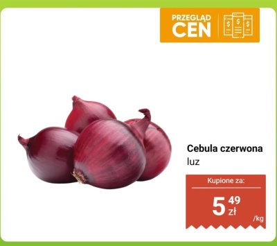 Cebula czerwona luz promocja w Dino