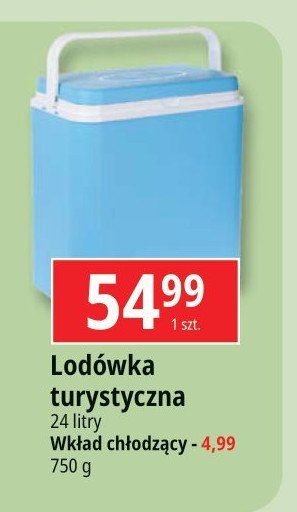 Wk艂ad ch艂odz膮cy 750 g promocja