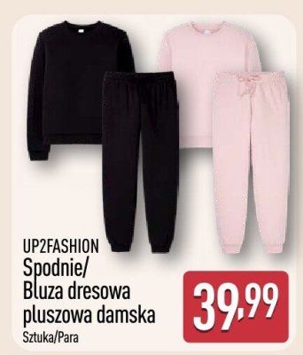 Spodnie dresowe pluszowe damskie promocja w Aldi