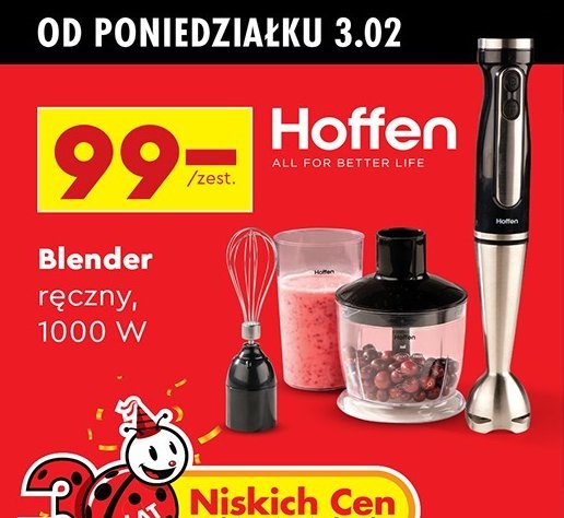 Blender ręczny 1000 w z kubkiem Hoffen promocja w Biedronka