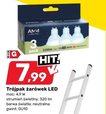 Trójpak żarówek LED promocja w Bricomarche