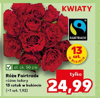 Róże promocja w Kaufland