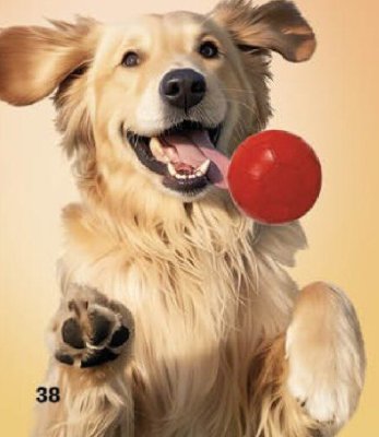 Gazetka, strona 37 promocja w Delikatesy Centrum