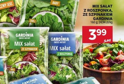 Mix sałat z roszponką ze szpinakiem Gardinia promocja w Stokrotka