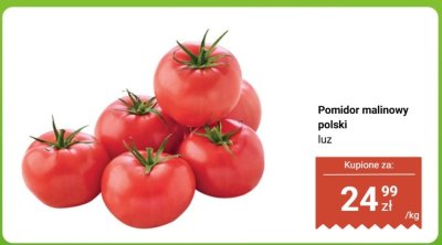 Pomidor malinowy polski luz promocja w Biedronka