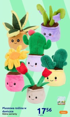 Pluszowa roślina w doniczce - tulipan promocja w Action