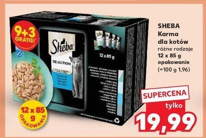 Karma dla kota rybne smaki Sheba selection promocja w Kaufland