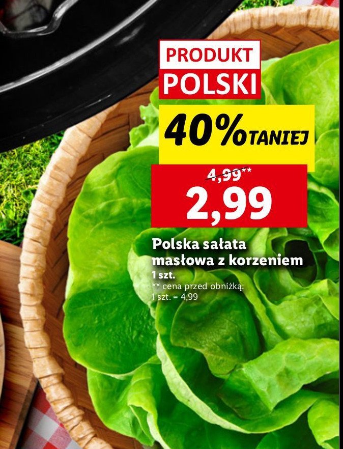 Sałata masłowa z korzeniem promocja w Lidl
