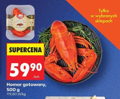Homar gotowany promocja w Biedronka