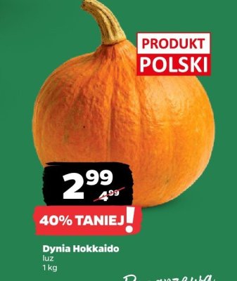 Dynia Hokkaido luz promocja w Netto