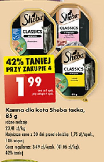 Karma dla kota pate z wołowiną Sheba classics promocja