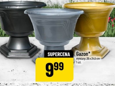Gazon promocja w POLOmarket