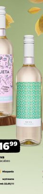 Wino Macabeo, białe wytrawne promocja w Netto