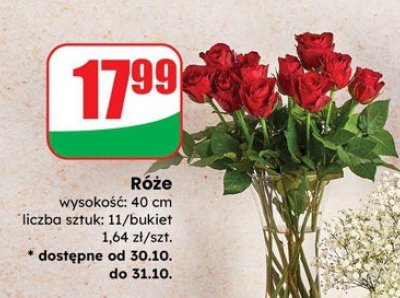 Róże 11 szt. promocja w Dino