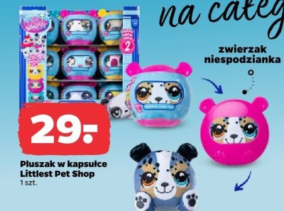 Pluszak w kapsułce Littlest Pet Shop promocja w Netto
