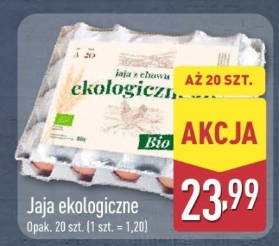 Jaja promocja w Aldi
