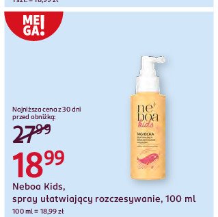 Mgiełka ułatwiająca rozczesywanie włosów Neboa kids promocja w Rossmann