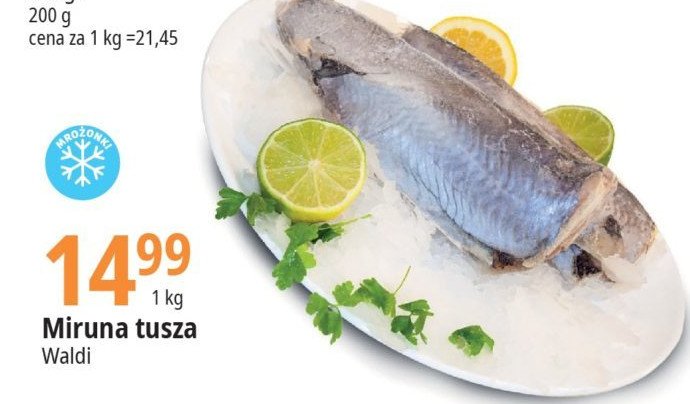 Miruna tusza mro偶ona Waldi promocja