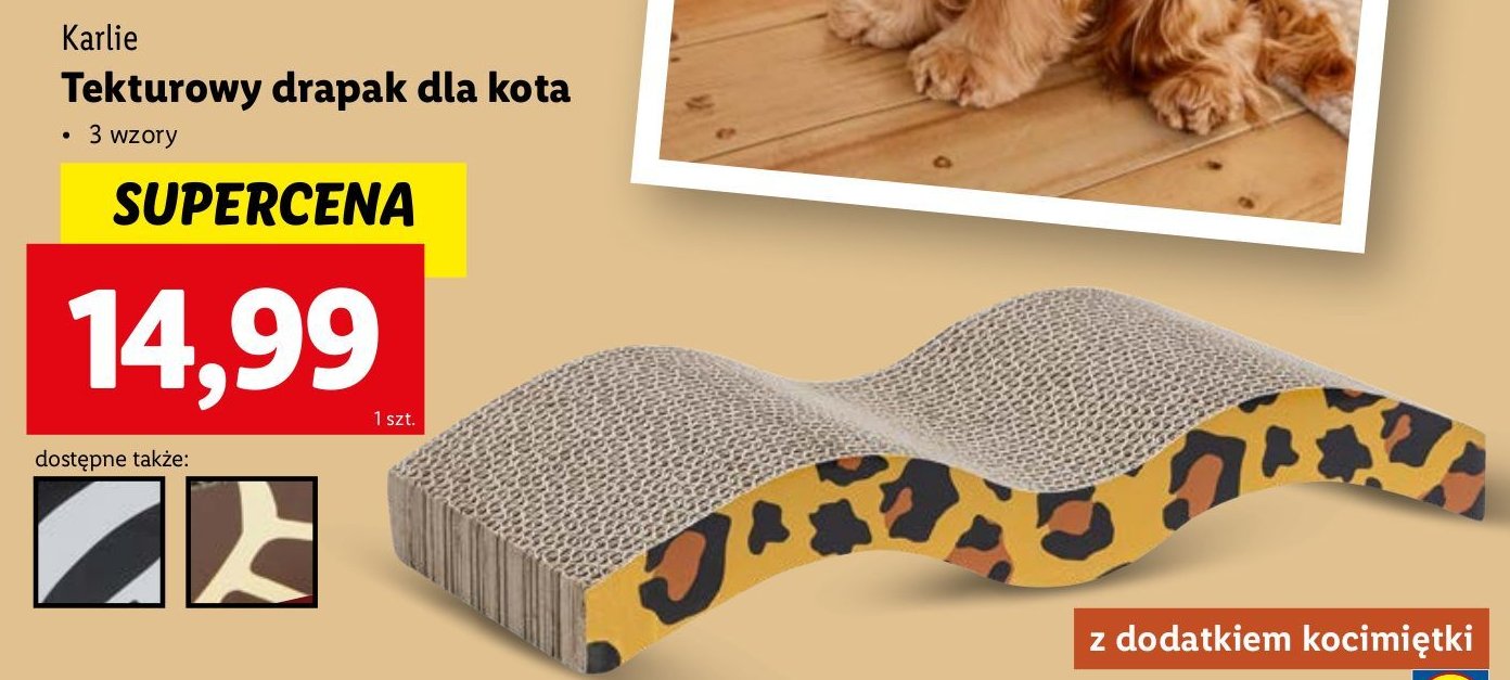 Drapak tekturowy KARLIE promocja