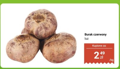 Burak czerwony luz promocja w Biedronka