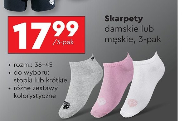 Skarpety męskie promocja w Biedronka