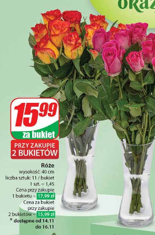 Róże 40 cm promocja